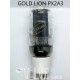 GOLD LION PX2A3